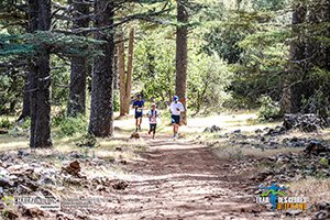 Trail Des Cèdres 2022 (Edition 13)